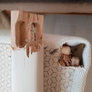 İstikbal Sandalye Şikayeti