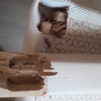 İstikbal Sandalye Şikayeti