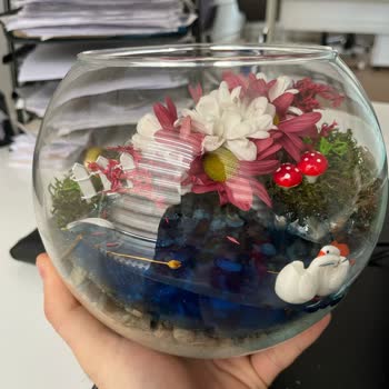 Dağılmış Teraryum İçin Çözüm Bekliyorum