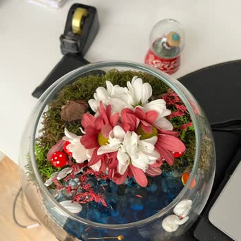 Dağılmış Teraryum İçin Çözüm Bekliyorum