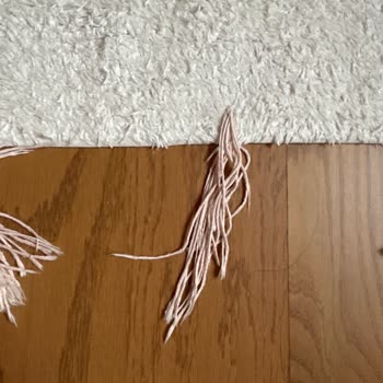 Lorena Canals Halısının Püskülleri Sürekli Kopuyor