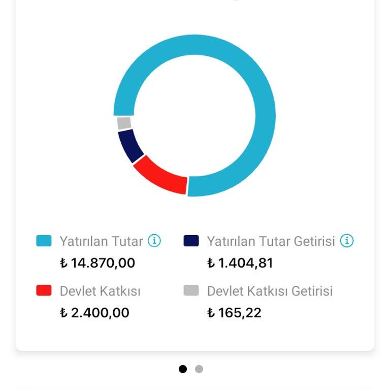 Devlet Katkısı Hesabıma Yansımıyor