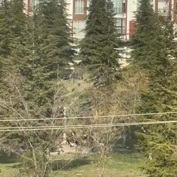 Edirne'de Gölet Mevkiinde Ateş Tehlikesi Ve Denetim Eksikliği