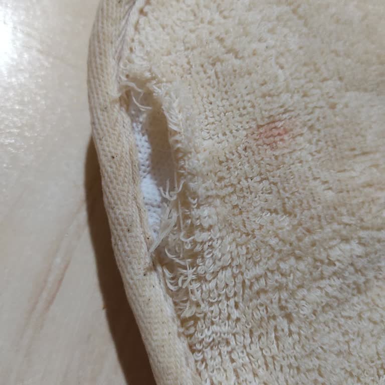 Gratis Eklips Kese Hemen Yırtıldı