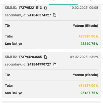 Ödeme Gecikmesi Ve Sınırlı Günlük Ödeme Sorunu