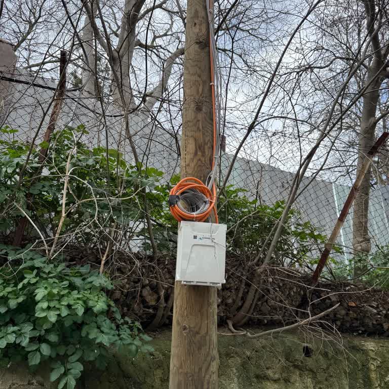 Fiber İnternet Bağlantısı Sorunu Ve İlgisizlik