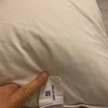 Kaz Tüyü Yastıkta Dayanılmaz Koku Sorunu