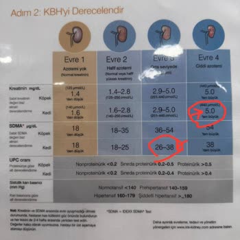 Eki aç