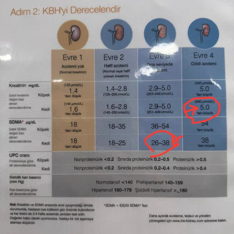Valens Veteriner Kliniği Olumsuz Deneyim