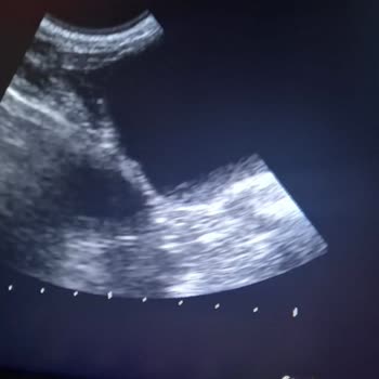 Valens Veteriner Kliniği Olumsuz Deneyim