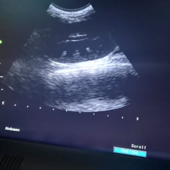Valens Veteriner Kliniği Olumsuz Deneyim
