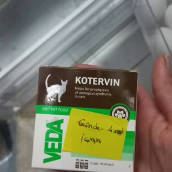 Valens Veteriner Kliniği Olumsuz Deneyim