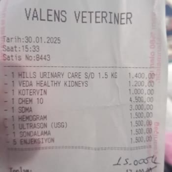 Valens Veteriner Kliniği Olumsuz Deneyim