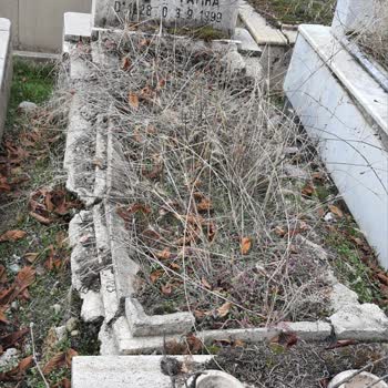 Mezarlıkların Bakımsız Hali Ve Sahipsiz Kabirler İçin Acil Çözüm Beklentisi