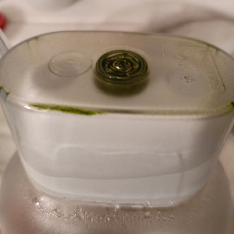 Brita Sürahinin Filtre Ucundaki Yosunlanma Sorunu