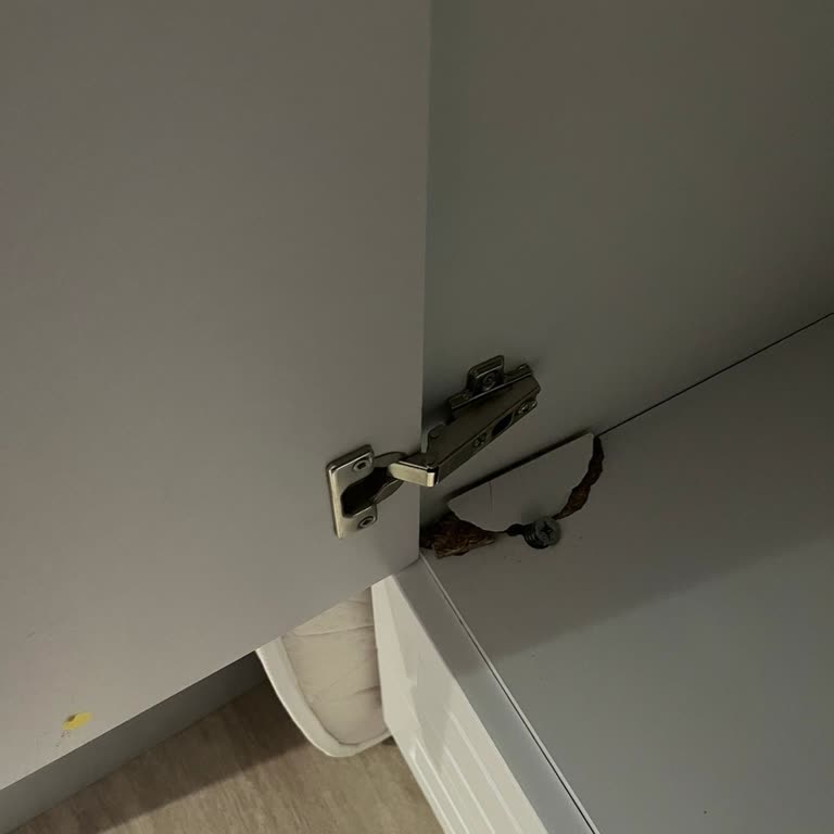 Rabi Mobilya Gardırop Kurulumunda Yaşanan Sorun Ve Satıcı Desteği Eksikliği