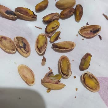 Amigo Kuruyemişlerinin Kalitesi Hayal Kırıklığı Yarattı