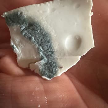 BİM'den Alınan Küflü Peynir Şoku