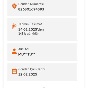 Kayıp Halı: MNG Kargo'nun Teslimat Sorunu