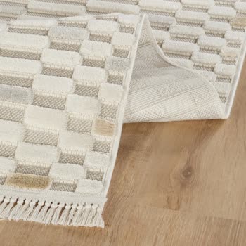 Kayıp Halı: MNG Kargo'nun Teslimat Sorunu