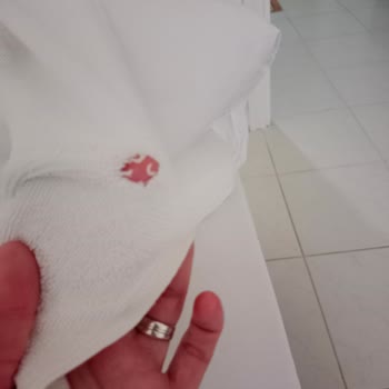 Armutlu Tatil Köyü: Hayal Kırıklığı Ve Hijyen Sorunları