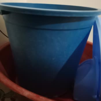 Armutlu Tatil Köyü: Hayal Kırıklığı Ve Hijyen Sorunları