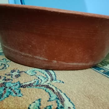 Armutlu Tatil Köyü: Hayal Kırıklığı Ve Hijyen Sorunları