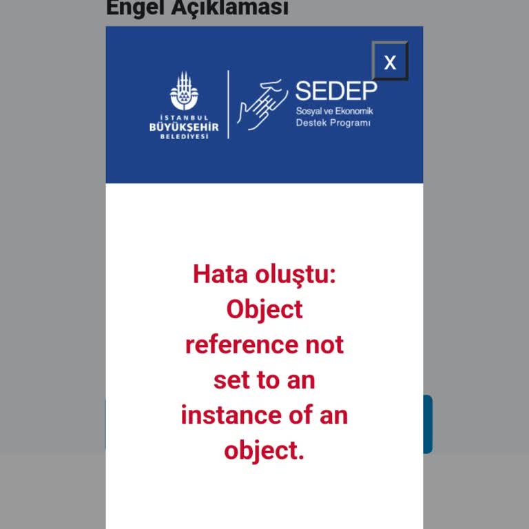 Evlilik Desteği Başvurusunda Hata Sorunu