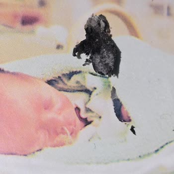 Sigara Paketlerinde Beklenmedik Sürprizler