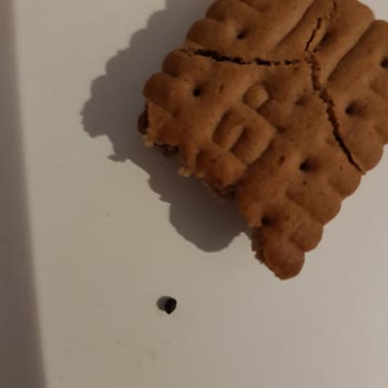 Bisküvi İçinden Çıkan Taş Dişimizi Kırdı