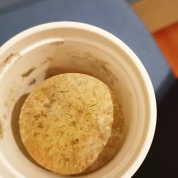 Küflü Ve Sağlıksız Oyun Hamuru