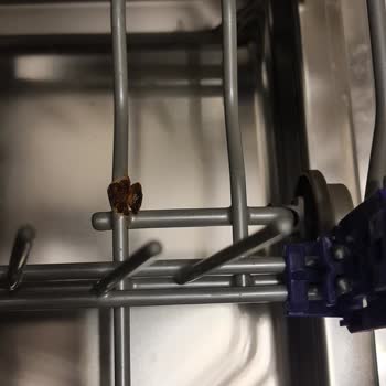 LG Bulaşık Makinesi Sepetlerinde Paslanma Sorunu