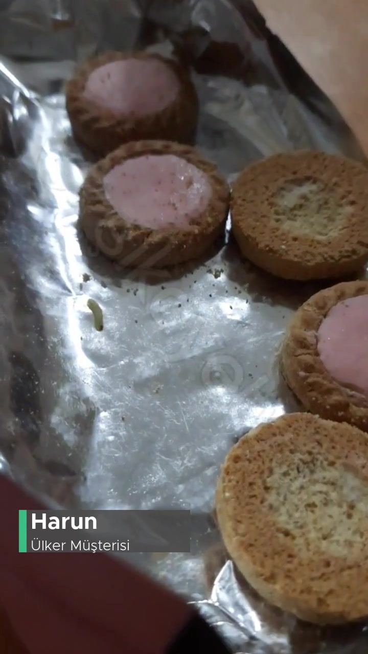 Ülker Saklıköy'ün İçinde Saklı Kurtlar videonun kapak resmi