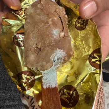 Küflü Dondurmalarla Karşı Karşıya: Migros Ve Magnum'un Sorumluluğu