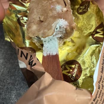 Küflü Dondurmalarla Karşı Karşıya: Migros Ve Magnum'un Sorumluluğu