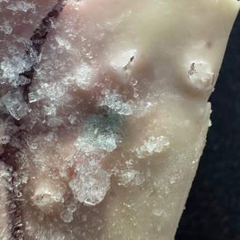 Küflü Dondurmalarla Karşı Karşıya: Migros Ve Magnum'un Sorumluluğu