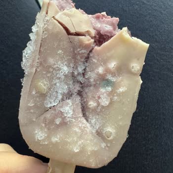 Küflü Magnum Mini Dondurmalar Şoku