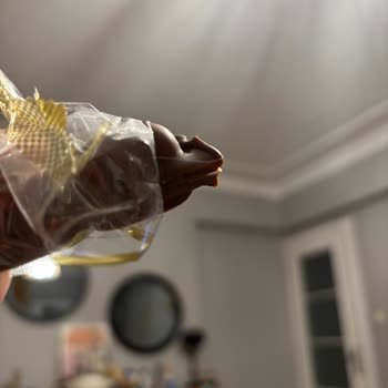 Çikolatada Hijyen Skandalı: Kıl Çıktı!