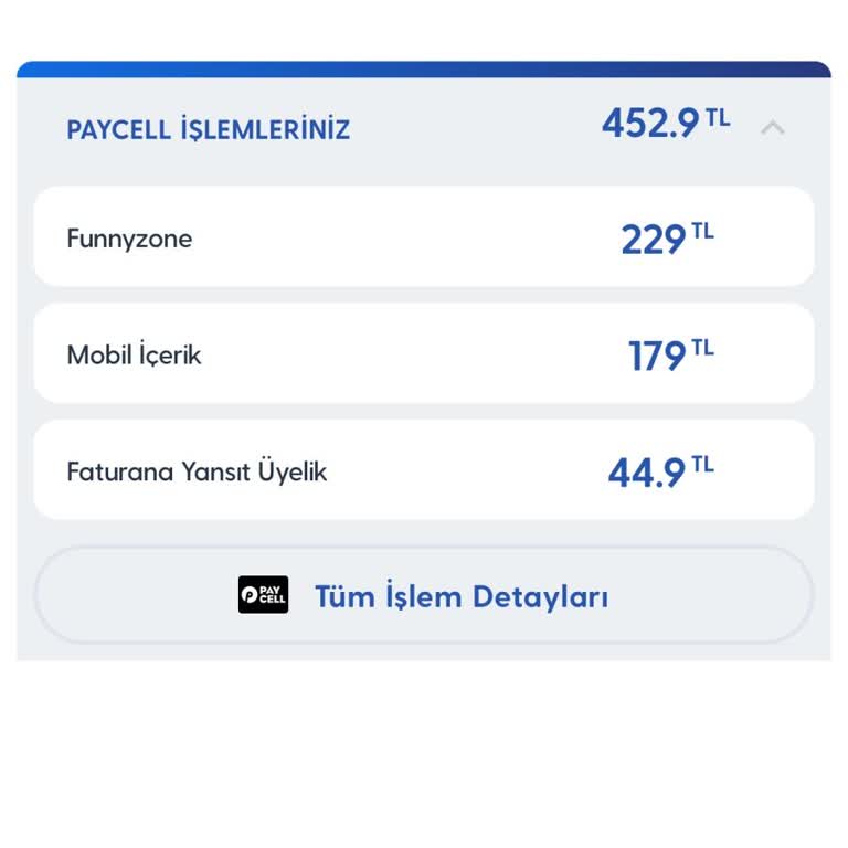 Funny Zone Aboneliği Sorunu Ve Çözüm Arayışı