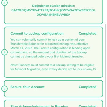 Pi Coin KYC Başvurusunda Takıldım