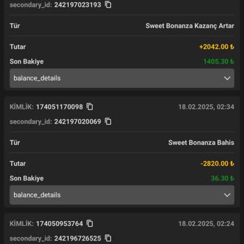 Holeyy.com Bakiyemi Sıfırladılar