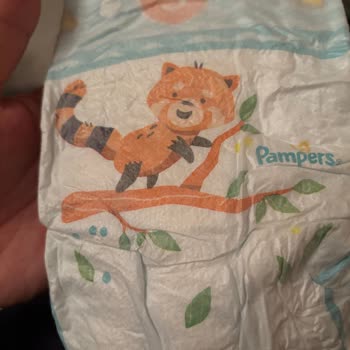 Prima 3 Numara Bezde Islaklık Göstergesi Eksikliği!