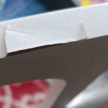 Ranzanın Korumalıkları 3 Gün İçinde Değişti