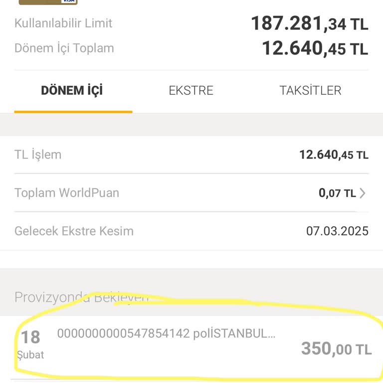 İzinsiz Yapılan Harcama Ve Ulaşılamayan Şube