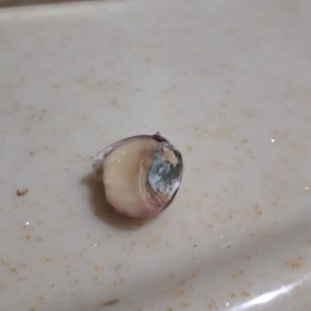 Gürmar'dan Aldığım Ürünler Hayal Kırıklığı Yarattı!