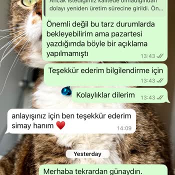Sipariş Teslimatı Ve İade Sürecinde Güven Sorunu