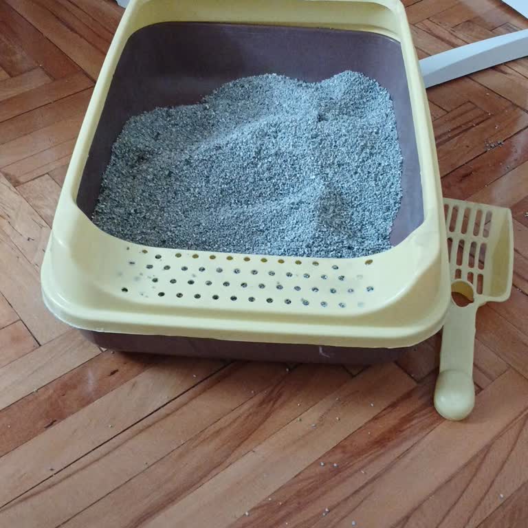 Yanlış Ürün Ve Yetersiz Destekle Karşılaştım