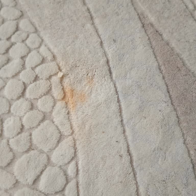 Clean Plus Leke Çıkartıcı Hayal Kırıklığı