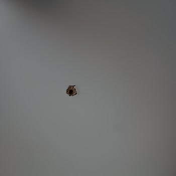 Deforme Gardırop Ve Hatalı Kurulum Sorunu