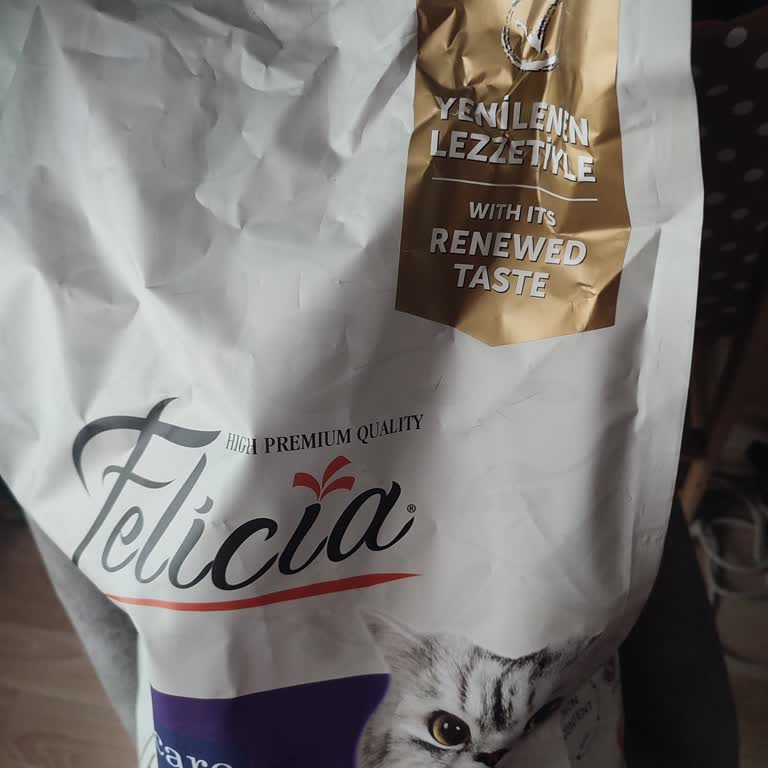 Yenilenen Felica Kedi Maması Kedimi Hasta Etti